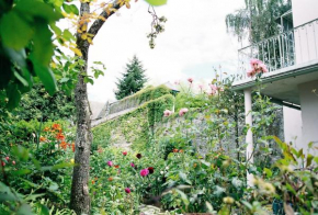 Idéal pour cure Maison Blanche Odin